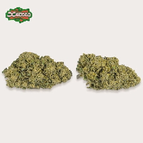 Watermelon CBD > Xuxes